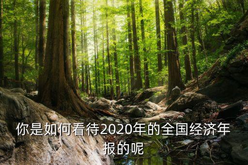 你是如何看待2020年的全國經(jīng)濟年報的呢