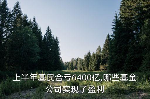 上半年基民合虧6400億,哪些基金公司實現(xiàn)了盈利