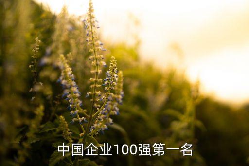 中國企業(yè)100強(qiáng)第一名