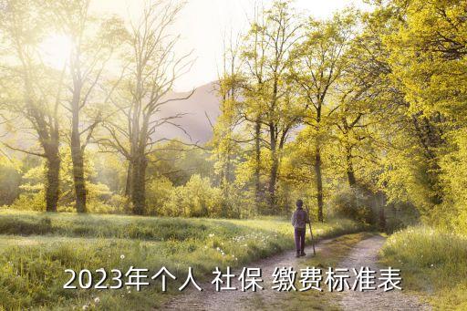 2023年個人 社保 繳費標(biāo)準(zhǔn)表