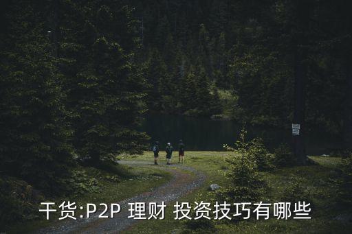 干貨:P2P 理財 投資技巧有哪些