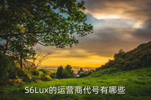 S6Lux的運營商代號有哪些