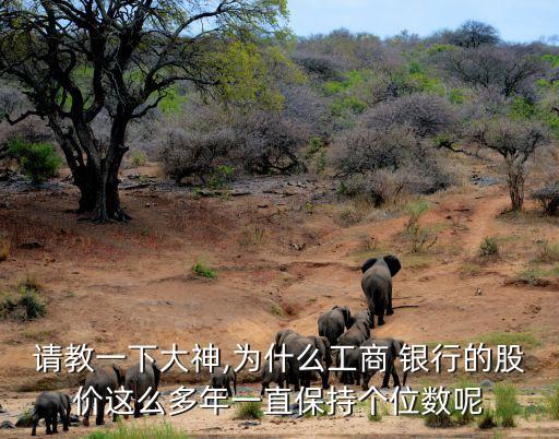 請教一下大神,為什么工商 銀行的股價這么多年一直保持個位數(shù)呢