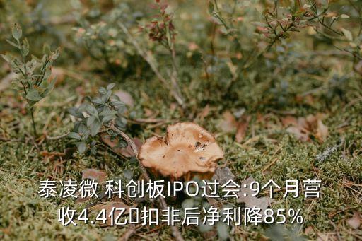 泰凌微 科創(chuàng)板IPO過會:9個月營收4.4億?扣非后凈利降85%