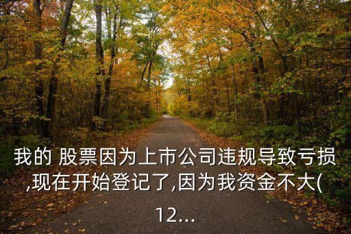 我的 股票因?yàn)樯鲜泄具`規(guī)導(dǎo)致虧損,現(xiàn)在開始登記了,因?yàn)槲屹Y金不大(12...