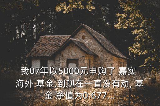 嘉實(shí)海外股票型基金凈值,嘉實(shí)新能源新材料股票a基金怎么樣