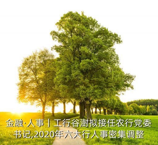 金融·人事丨工行谷澍擬接任農(nóng)行黨委書記,2020年六大行人事密集調(diào)整