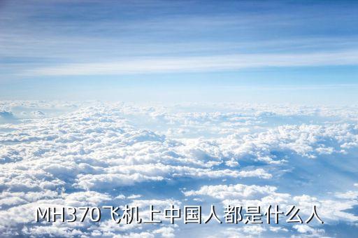 MH370飛機(jī)上中國人都是什么人