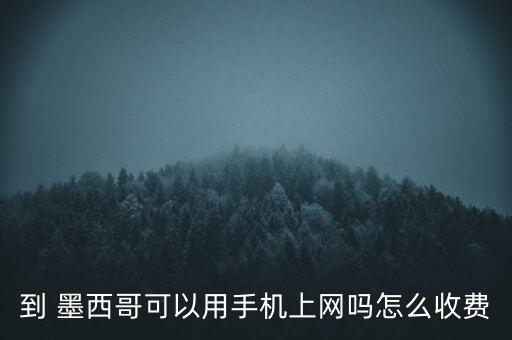 到 墨西哥可以用手機(jī)上網(wǎng)嗎怎么收費(fèi)