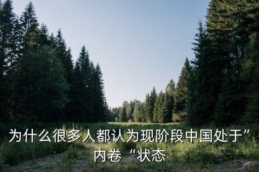 為什么很多人都認為現(xiàn)階段中國處于”內(nèi)卷“狀態(tài)