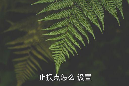  止損點怎么 設(shè)置