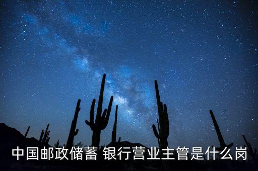 中國郵政儲蓄 銀行營業(yè)主管是什么崗