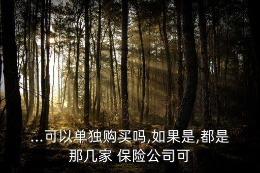 ...可以單獨(dú)購(gòu)買(mǎi)嗎,如果是,都是那幾家 保險(xiǎn)公司可