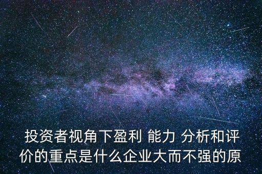  投資者視角下盈利 能力 分析和評價(jià)的重點(diǎn)是什么企業(yè)大而不強(qiáng)的原