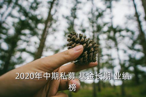 2020年中期私募 基金長(zhǎng)期 業(yè)績(jī)榜