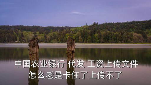  中國農(nóng)業(yè)銀行 代發(fā) 工資上傳文件怎么老是卡住了上傳不了