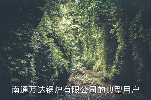 南通萬達(dá)鍋爐有限公司的典型用戶