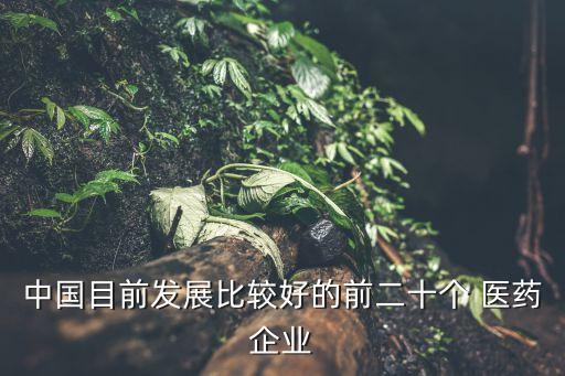 中國目前發(fā)展比較好的前二十個(gè) 醫(yī)藥企業(yè)