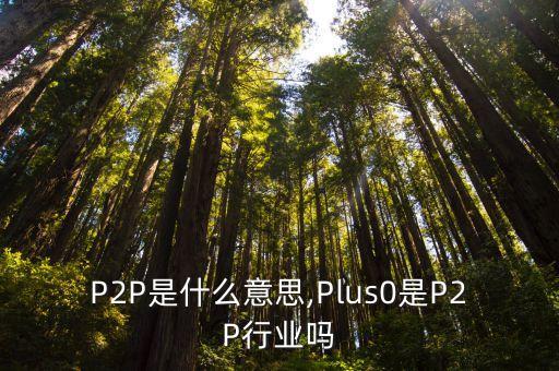 P2P是什么意思,Plus0是P2P行業(yè)嗎