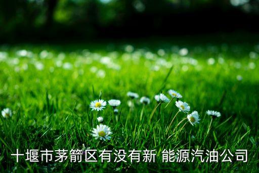 十堰市茅箭區(qū)有沒有新 能源汽油公司