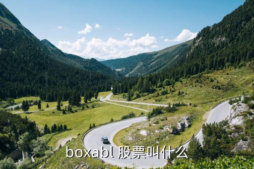 boxabl 股票叫什么