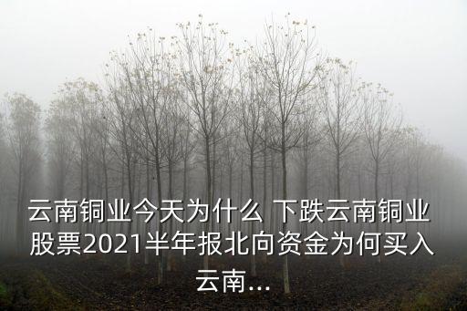 云南銅業(yè)今天為什么 下跌云南銅業(yè) 股票2021半年報(bào)北向資金為何買入云南...