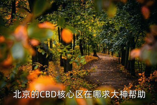  北京的CBD核心區(qū)在哪求大神幫助