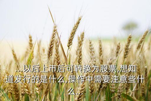 ...以后上市后可轉(zhuǎn)換為股票,想知道發(fā)行的是什么,操作中需要注意些什么...