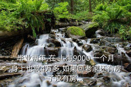 畢業(yè)兩年,在 上海9000 一個月,身上也就4萬多,如果回老家還有房子沒有房...