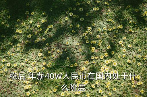 稅后 年薪40W人民幣在國(guó)內(nèi)處于什么階層