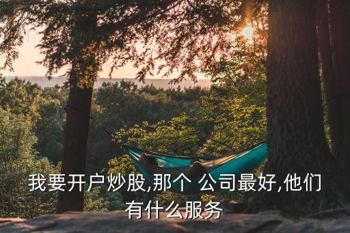 我要開戶炒股,那個(gè) 公司最好,他們有什么服務(wù)