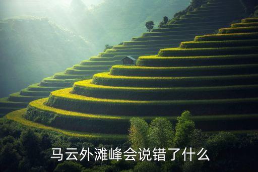  馬云外灘峰會(huì)說(shuō)錯(cuò)了什么