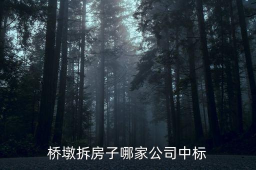 橋墩拆房子哪家公司中標