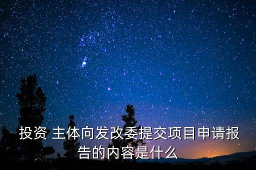  投資 主體向發(fā)改委提交項(xiàng)目申請(qǐng)報(bào)告的內(nèi)容是什么