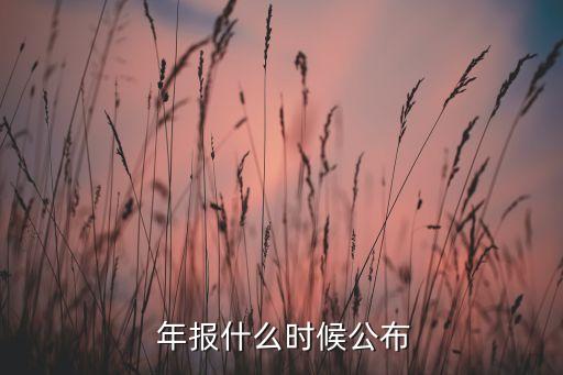  年報什么時候公布