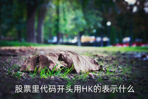  股票里代碼開頭用HK的表示什么