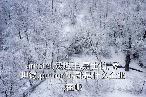 amstel,沃達(dá)豐,嘉士伯, 桑坦德,petronas都是什么企業(yè),在哪