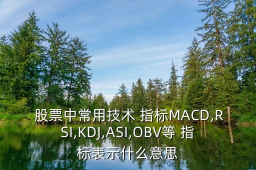  股票中常用技術(shù) 指標(biāo)MACD,RSI,KDJ,ASI,OBV等 指標(biāo)表示什么意思