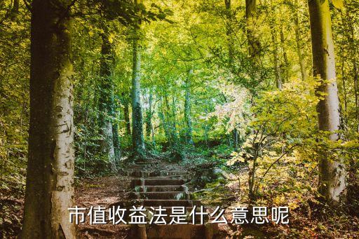 基金停牌股票估值方法,基金公司對(duì)股票進(jìn)行估值調(diào)整的部門是