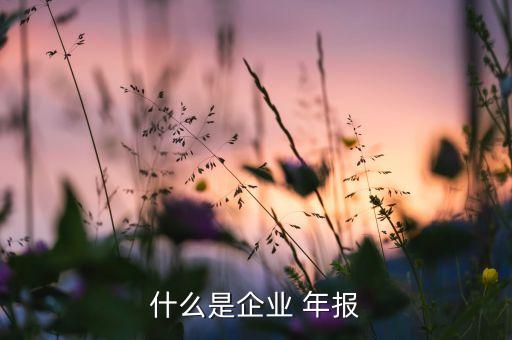 2015上市公司年報(bào)下載,上市公司年報(bào)下載的專業(yè)網(wǎng)站