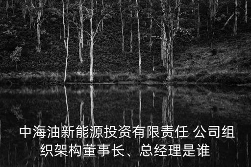  中海油新能源投資有限責(zé)任 公司組織架構(gòu)董事長(zhǎng)、總經(jīng)理是誰(shuí)