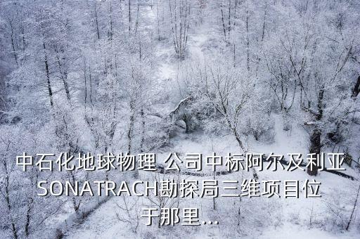 中石化地球物理 公司中標(biāo)阿爾及利亞SONATRACH勘探局三維項(xiàng)目位于那里...