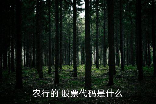 農(nóng)行的 股票代碼是什么