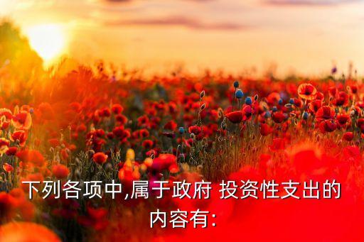 下列各項(xiàng)中,屬于政府 投資性支出的內(nèi)容有: