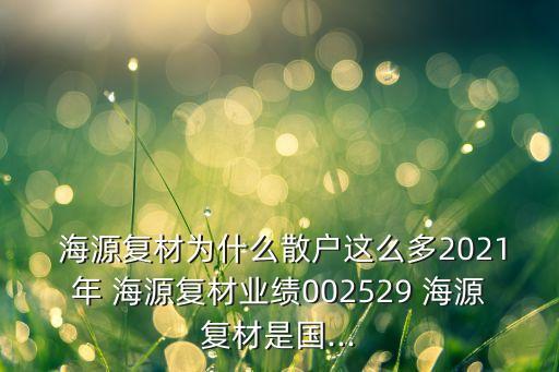  海源復(fù)材為什么散戶這么多2021年 海源復(fù)材業(yè)績(jī)002529 海源復(fù)材是國(guó)...