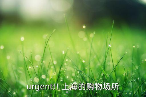 urgent!! 上海的購物場(chǎng)所