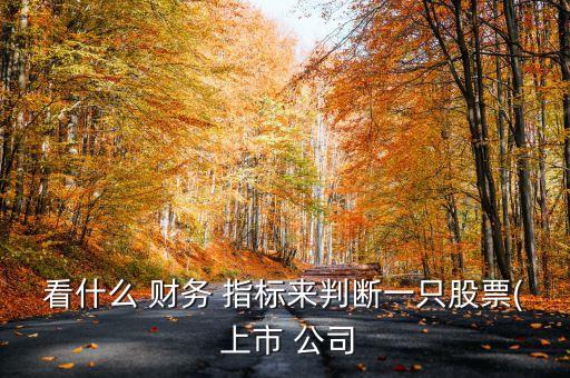 看什么 財務 指標來判斷一只股票( 上市 公司