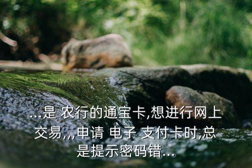 ...是 農(nóng)行的通寶卡,想進(jìn)行網(wǎng)上交易,,,申請 電子 支付卡時,總是提示密碼錯...