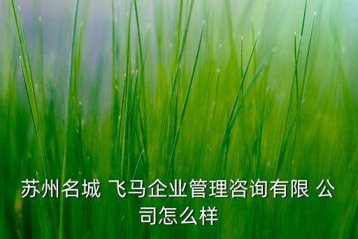 蘇州名城 飛馬企業(yè)管理咨詢有限 公司怎么樣