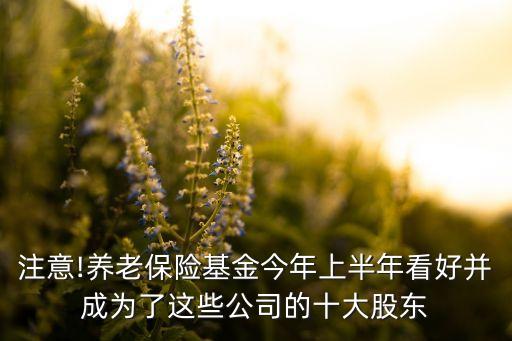 注意!養(yǎng)老保險基金今年上半年看好并成為了這些公司的十大股東